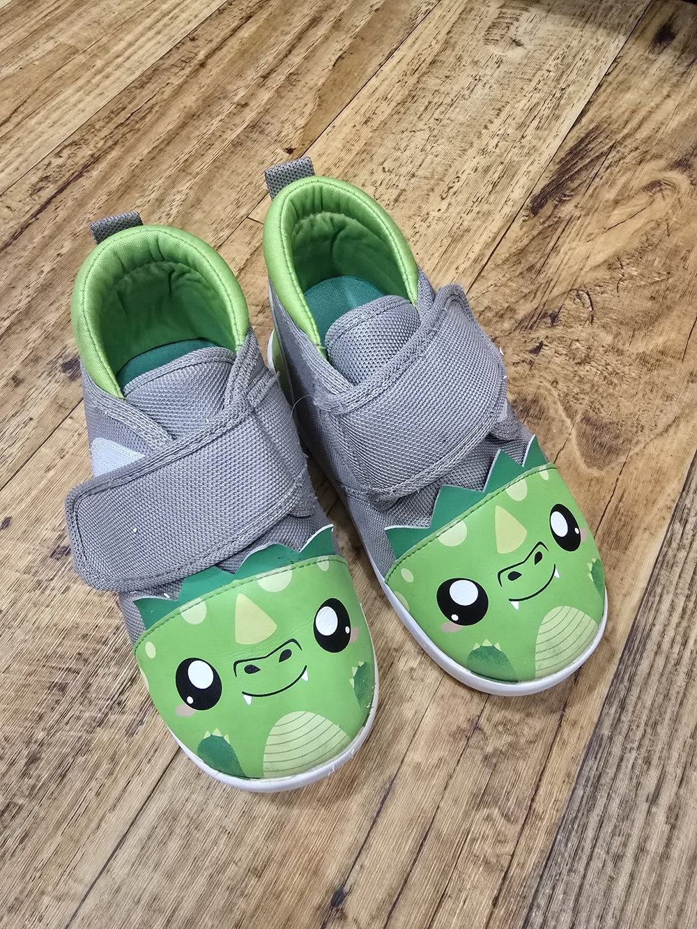 Kids Grey & Green Dino Slip-On Sneakers with Hook-and-Loop Strap